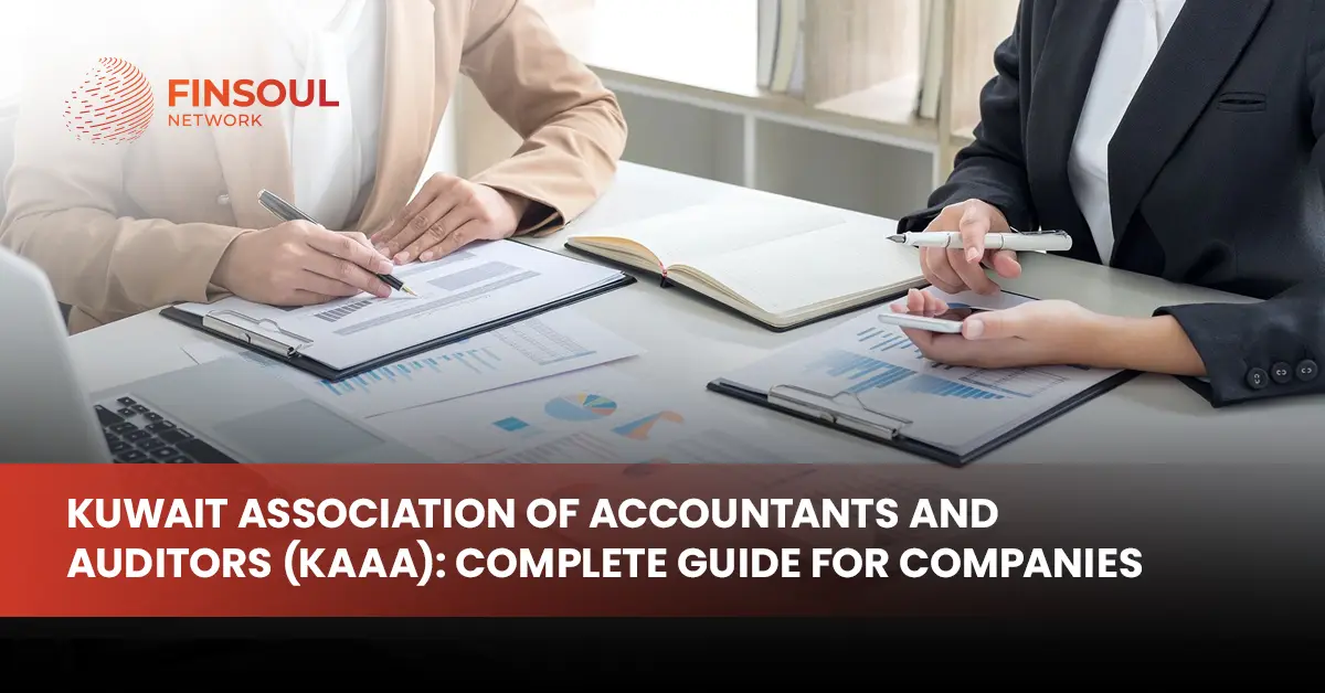 accounting consultants